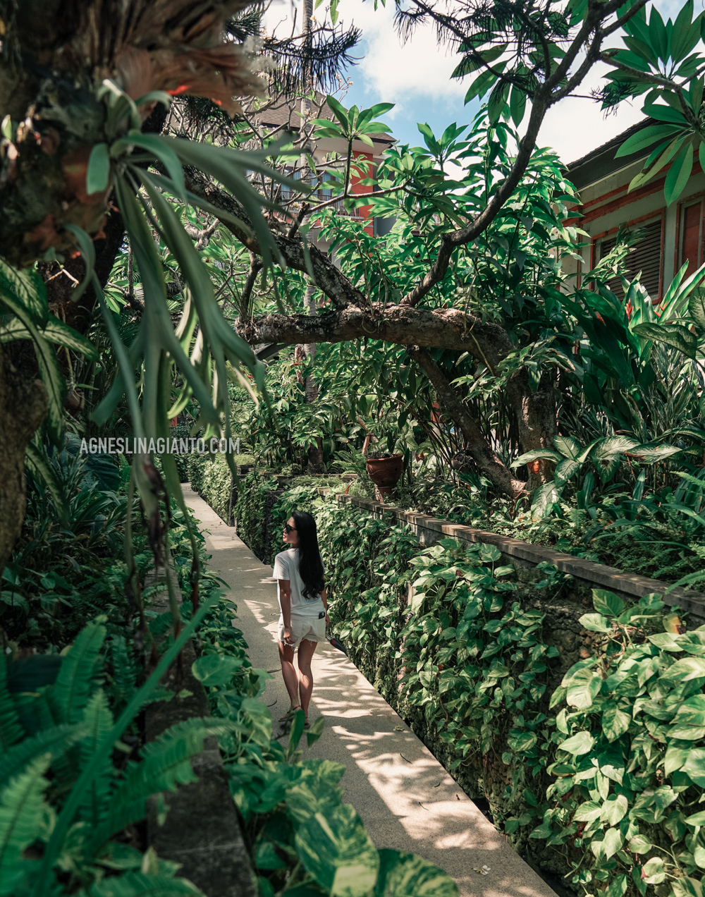 Lush tropical garden