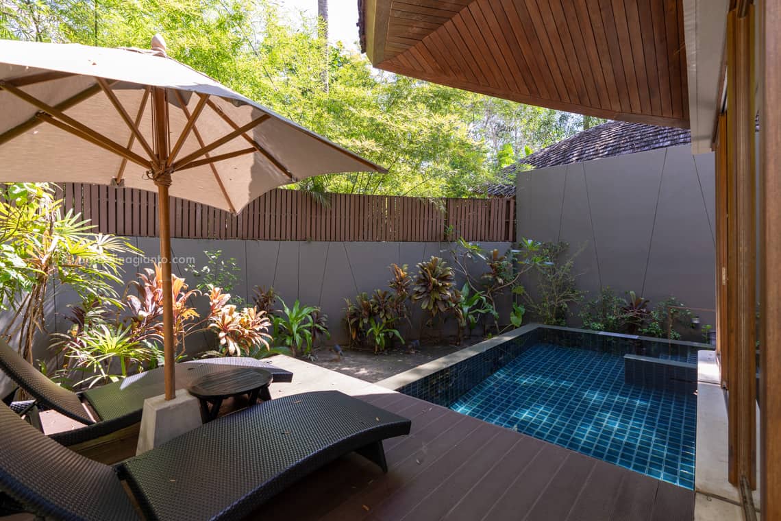 Plunge pool view - 1 Bedroom Villa, 1 King, Garden view, Plunge pool